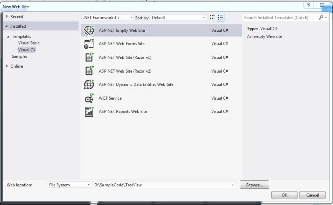 ASP.NET web site EMPTY project